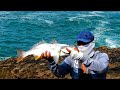 Espectaculares  piques de corvinas. || See the bites of large croaker