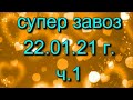 🌸Продажа орхидей. ( Завоз 22.01. 21 г.) 1 ч. Отправка только по Украине. ЗАМЕЧТАТЕЛЬНЫЕ КРАСОТКИ👍