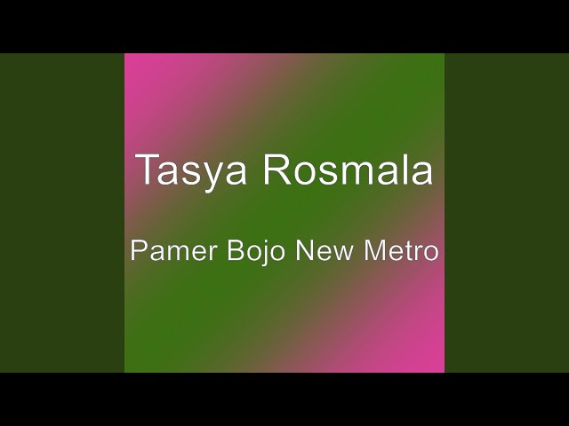 Pamer Bojo New Metro class=