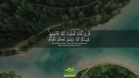 تلاوة رائعة: " فَاتَّبِعُونِي يُحْبِبْكُمُ اللَّهُ " | سورة آل عمران | قرآن