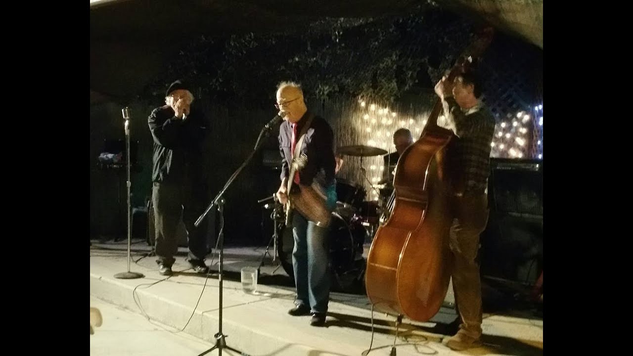 buddy reed and the rip it ups perform good looking woman