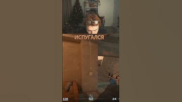 twitch: StRoGo #cs2 #faceit #twitch #strogo