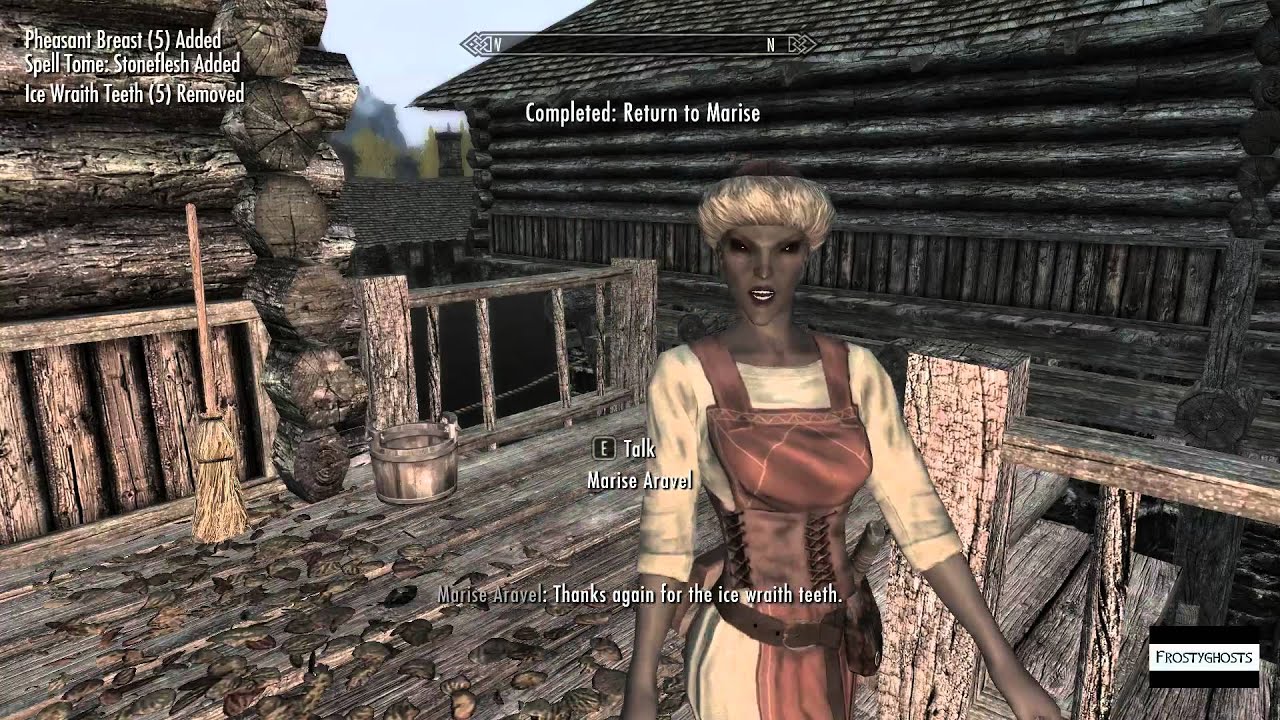 Skyrim Doujin