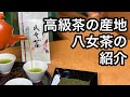 美味しい日本茶の淹れ方　八女茶編（八女茶の紹介、説明）