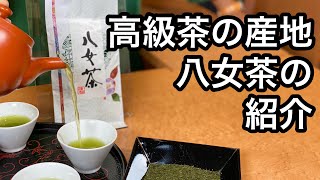 美味しい日本茶の淹れ方　八女茶編（八女茶の紹介、説明）