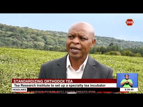 Tea Research Institute to set up a specialty tea incubator