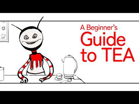 A Beginner's Guide to Tea