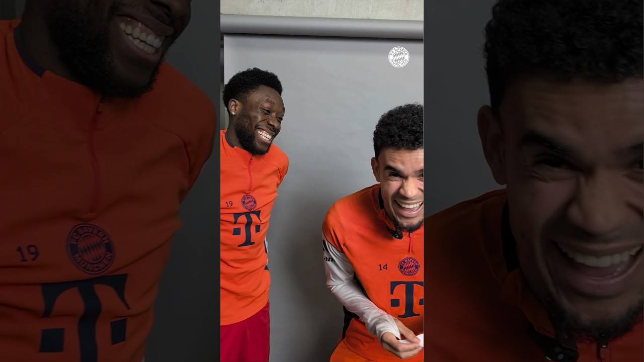 New team insights dropped 👀