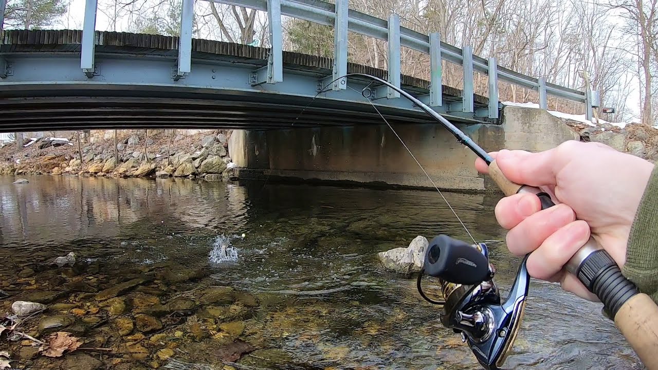 TROUT LOVE THIS BAIT! (Creek Fishing) 