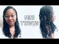 Mini Twists on Wet Natural Hair | Protective Style Challenge