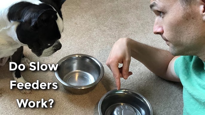 The Slowdown Bowl: Slow Feeder & Lick Mat (Charcoal) – Should We Go?