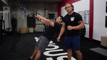 TRX Rows