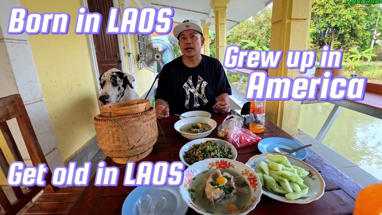 From the USA, now living a good simple life in Laos, beautiful outdoors view with mango trees