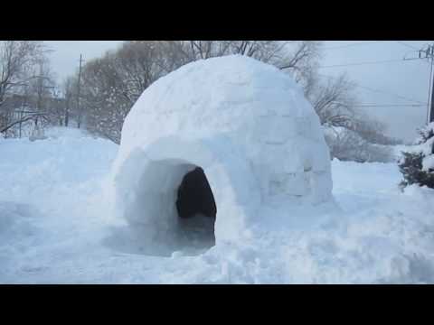 Common Questions About Igloos