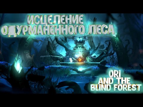 Video: Ori I Slijepe šume Pravi Akcijski RPG