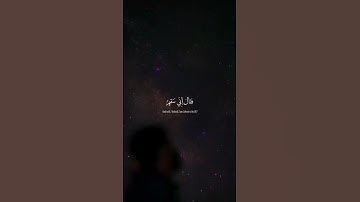 محمد صديق المنشاوي #قران_كريم #اكسبلور #تلاوة_خاشعة #محمد_صديق_المنشاوي #المنشاوى