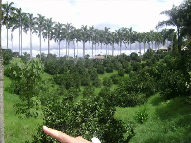 CONOZCA A COLOMBIA. Paisajes CONOZCA A COLOMBIA. Paisajes #1