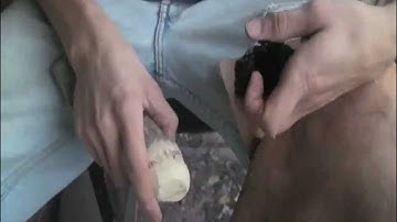 how to make a moose antler flintknapping tool :: trying it out 2