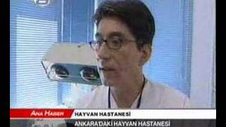 pet veteriner hastanesi screenshot 4