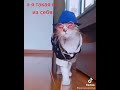 А Я ТАКАЯ ВСЯ ИЗ СЕБЯ  ))) ☀ Лучшие приколы Tik-Tok ☀ #Shorts