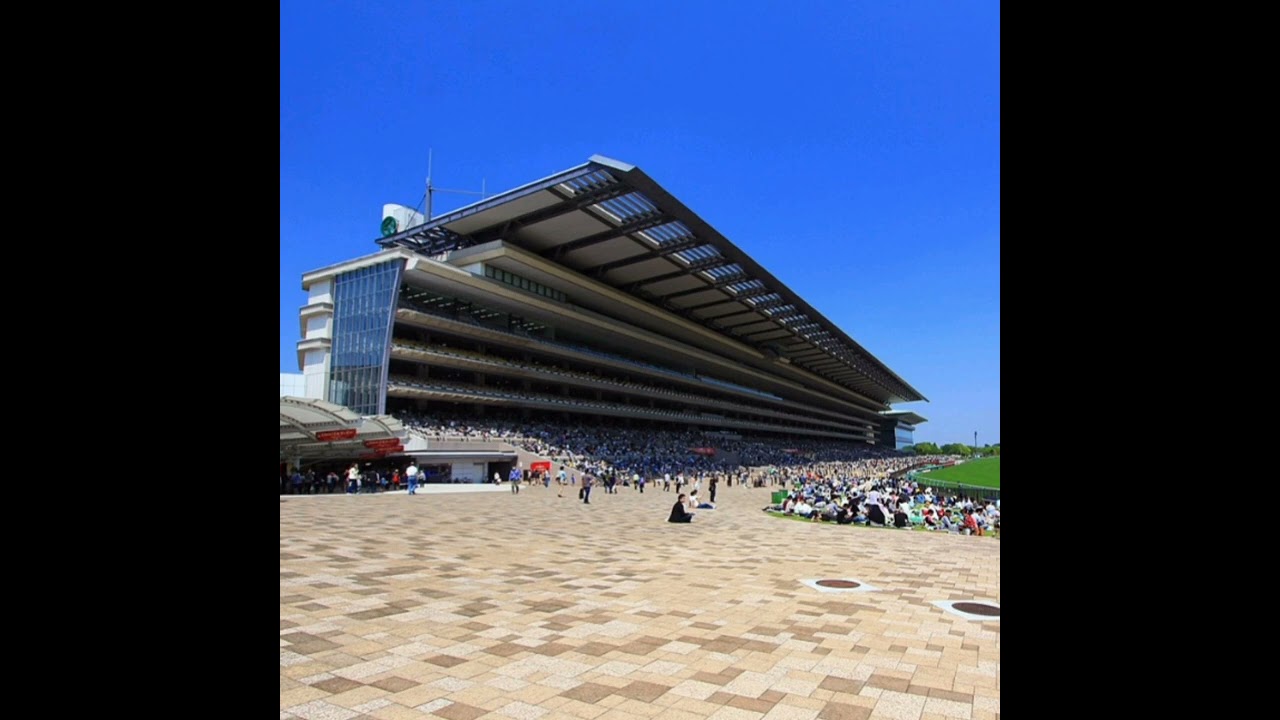The Majestic March JRA日本中央競馬会 東京・中山競馬場(関東) 一般競走 本馬場入場曲 #JRA #本馬場入場曲 #関東 #競馬場 #馬