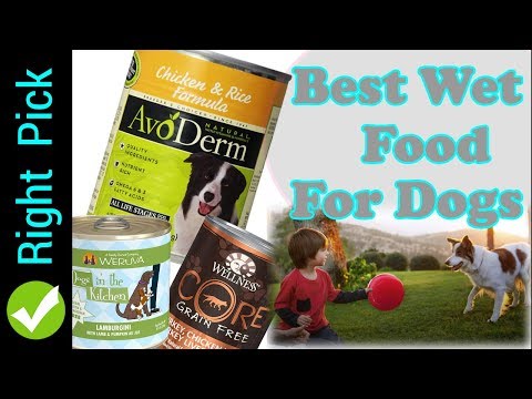 dog-food-:-best-wet--dog-food-|-best-wet-dog-food-reviews-|-wet-dog-food-2018