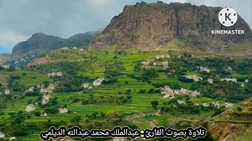 تلاوة تريح القلب#singing  #اكسبلور  بصوت القارئ : عبدالملك محمد عبدالله الديلمي @abdalmalik-aldaylami