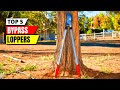 Best Bypass Loppers 2026 🌿 | Precision, Comfort &amp; Durability Compared