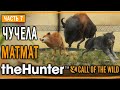 theHunter Call of the Wild #7 🐺 - Дерзкий Бизон - Кoмпозиции из Чучeл