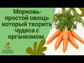 🌿 Морковь — простой овощ, который творит чудеса с организмом!