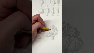 Think in Basic Forms to Draw Better Trees