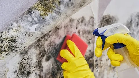 Как уничтожить грибы в организме и плесень