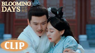 Clip | Yuanxue died in order to protect her sweetheart | Blooming Days 岁岁青莲
