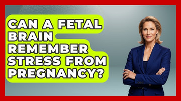 Can A Fetal Brain Remember Stress From Pregnancy? - Brain Development Hub