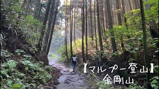 金剛山(大阪府) マルプーと登山。梅雨の中、天気に恵まれました。