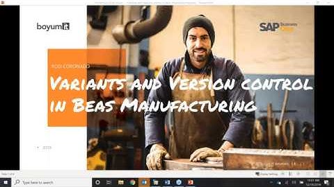 Beas: How to work with item versions