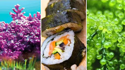 Como são utilizadas as águas marinhas?