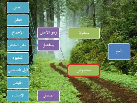 العام المخصوص التخصيص بالمتصل