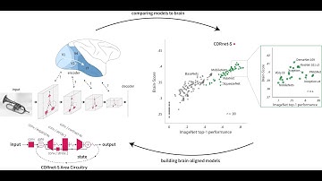 Brain-Like Object Recognition with High-Performing Shallow Recurrent ANNs