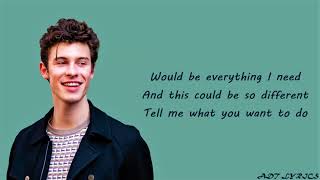 Shawn Mendes - Treat You Better (lyrics)