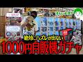 ハズレ無しの1000円ガチャが流石にお得すぎるから大当たりのSwitch2かポケカ新弾を狙って散財するぞ!!!!【とりっぴぃ/愛の戦士】