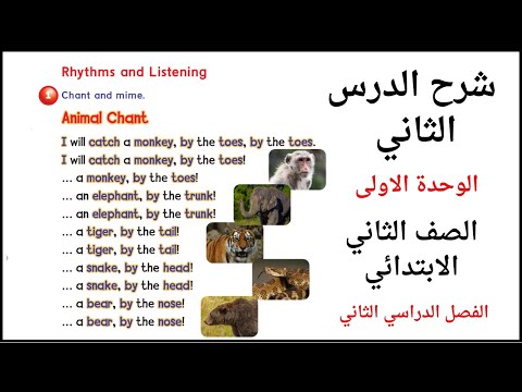شرح الدرس الثاني الوحدة الأولى انجليزي الصف الثاني الابتدائي الفصل الثاني Rhythms And Listening 
