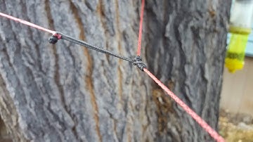 tarp line with button knot "v consersion, soft link on ridge line #softlink