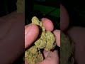 Marley Green Close Up