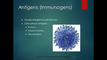 Chapter 7 Lecture Part 1 Immunity