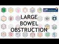 Large Bowel Obstruction