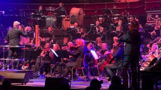 View Beck and BBC Orchestra Perform 'Lost Cause' and 'The New Pollution' at Royal Albert Hall