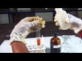 Chemical Tests for Acetate - MeitY OLabs