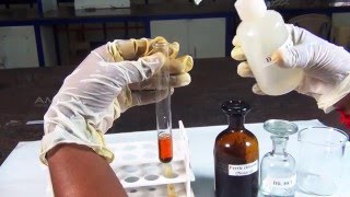 Chemical Tests for Acetate - MeitY OLabs