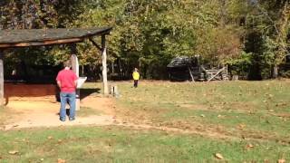 Catching a Falling Leaf